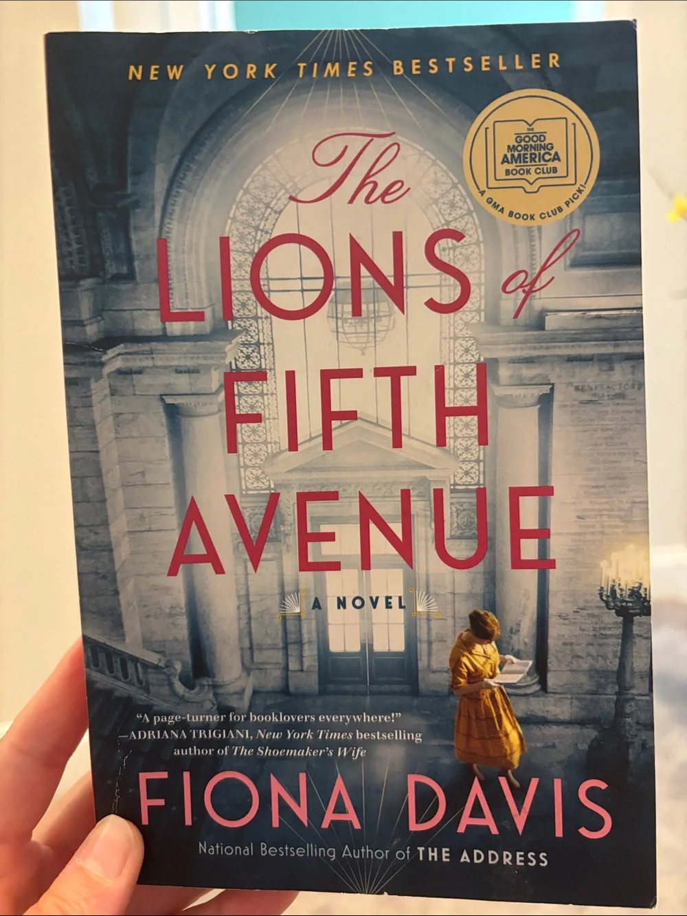 The Lions of Fifth Avenue - Decorative Hardcover Book in Blue and Red
